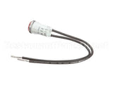 10-6669 Market Forge Pilot Light 240 V.