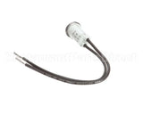 10-6669 Market Forge Pilot Light 240 V.