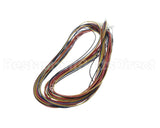 1000001608 Elkay Harness - Control Board To Basin Feed