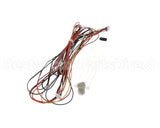 1000002444 Elkay Kit, Thermistor/Rfid Harness