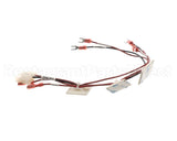1000005185 Elkay Harness