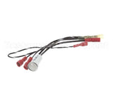 100051 Globe Indicator Lamp Assembly