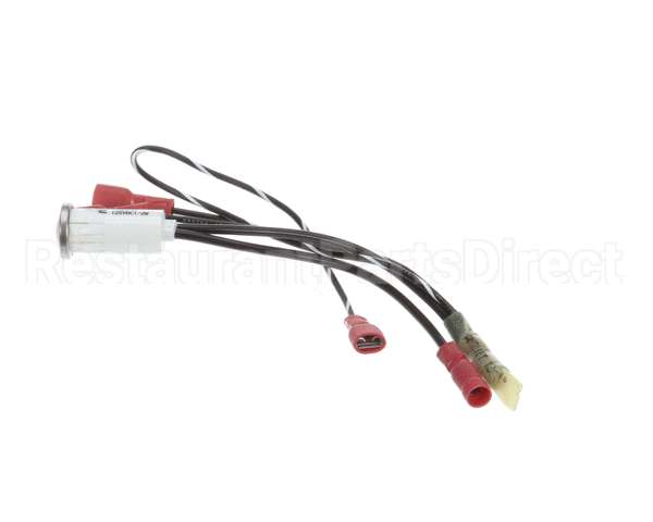 100051 Globe Indicator Lamp Assembly
