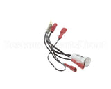 100051 Globe Indicator Lamp Assembly