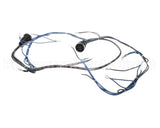 10005602 Lincoln Wireharness,Back,Y