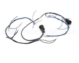 10005602 Lincoln Wireharness,Back,Y