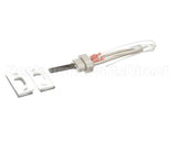 100093631 Polaris Water Heater Igniter Kit Includes:gasket Br