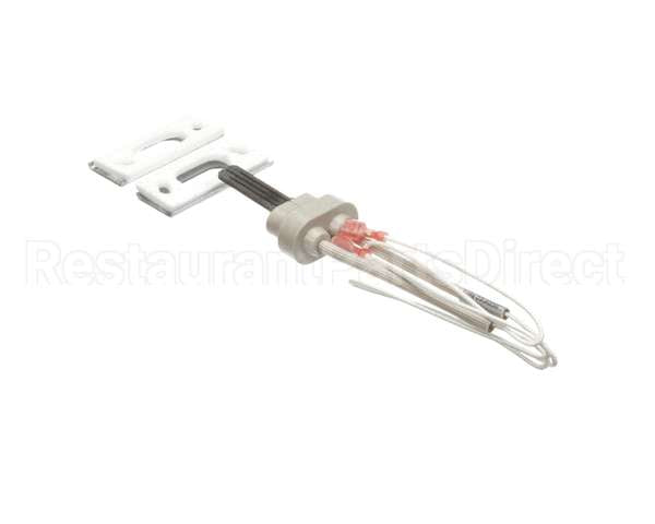 100093631 Polaris Water Heater Igniter Kit Includes:gasket Br