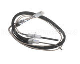 100109978 Lochinvar Flame Sensor Ignitor