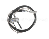 100109978 Lochinvar Flame Sensor Ignitor
