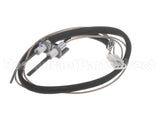 100109978 Lochinvar Flame Sensor Ignitor