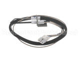 100109978 Lochinvar Flame Sensor Ignitor