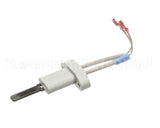 100110899 Polaris Water Heater Natural Gas Igniter Hcg - 9006
