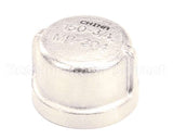 100113 Champion - Moyer Diebel Cap 3/4 Npt Sst