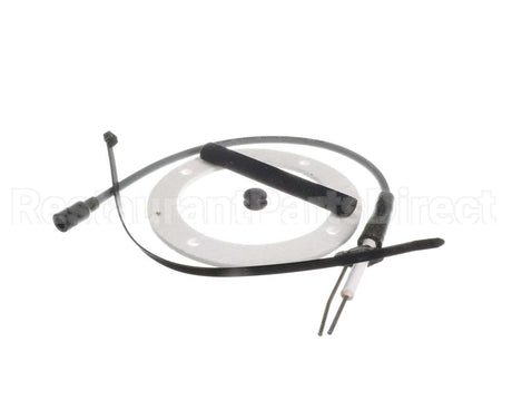 100113150 Ao Smith Water Heater K,Igniter,Series 130/131