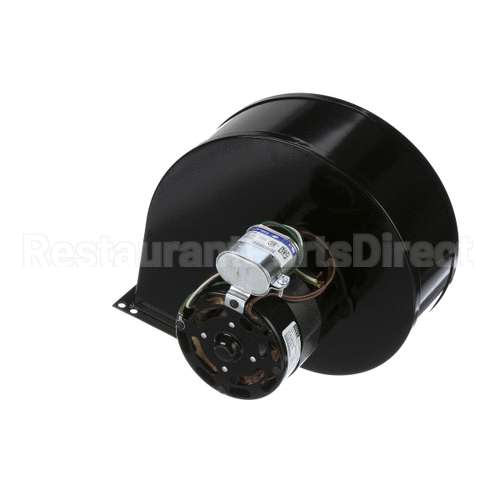 100137146 Lochinvar K,Fan,115V/60Hz,Pf750-1000