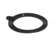 100146541 Lochinvar Gasket,Blower