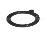 100146541 Lochinvar Gasket,Blower