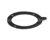 100146541 Lochinvar Gasket,Blower