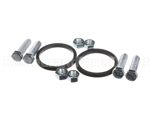 100166331 Lochinvar K,Bolt & Gasket,Pum30004