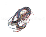 100173240 Lochinvar Harnesswire24Vpb/Pf