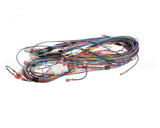 100173240 Lochinvar Harnesswire24Vpb/Pf