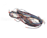 100173240 Lochinvar Harnesswire24Vpb/Pf