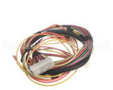 100173305 Lochinvar Harnesswiresignalpb/Pf