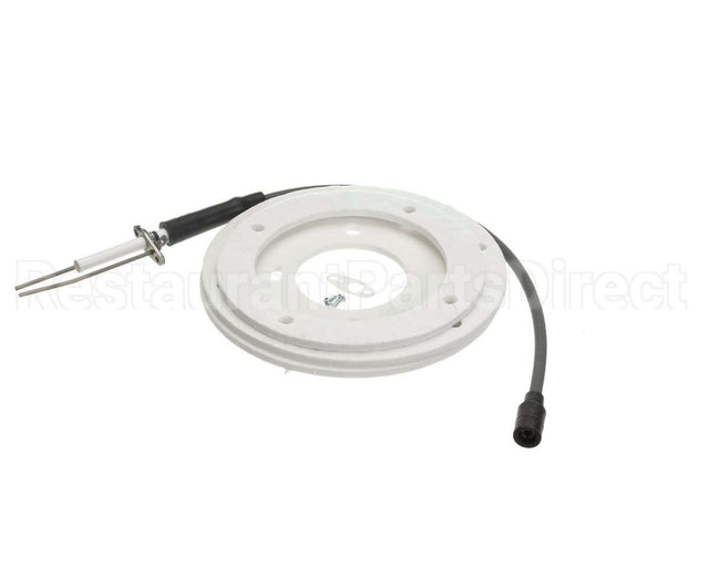 100191120 Ao Smith Water Heater Ignitor