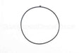 100208088 Lochinvar K,Door Gasket,Rubber