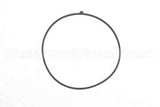 100208088 Lochinvar K,Door Gasket,Rubber