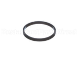 100208099 Lochinvar K,Gasket,Element