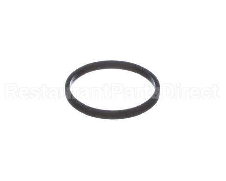 100208099 Lochinvar K,Gasket,Element