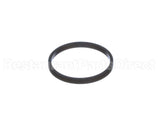 100208099 Lochinvar K,Gasket,Element