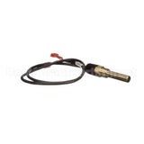 100208553 Lochinvar K,Sensor,Immersion