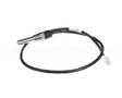 100208559 Lochinvar K,Sensor,Dual Immersion