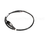 100208559 Lochinvar K,Sensor,Dual Immersion