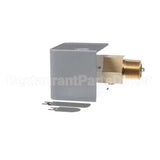 100208653 Lochinvar K,Switch,Flow W/Paddle