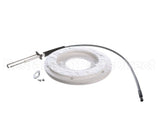 100271888 Ao Smith Water Heater K,Spark Igniter Assy,(Straig