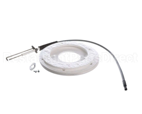 100271888 Ao Smith Water Heater K,Spark Igniter Assy,(Straig