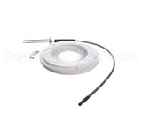 100271888 Ao Smith Water Heater K,Spark Igniter Assy,(Straig