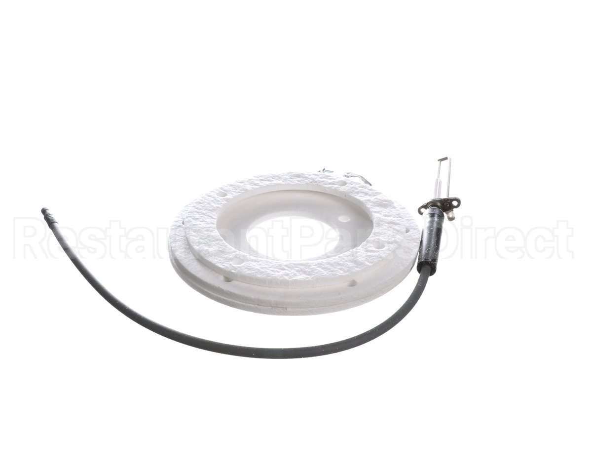 100271888 Ao Smith Water Heater K,Spark Igniter Assy,(Straig