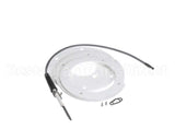 100271888 State Water Heater Spark Igniter Assembly