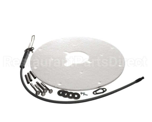 100271889 Ao Smith Water Heater K,Spark Igniter Assy(Angled)