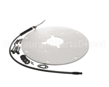100271889 Ao Smith Water Heater K,Spark Igniter Assy(Angled)