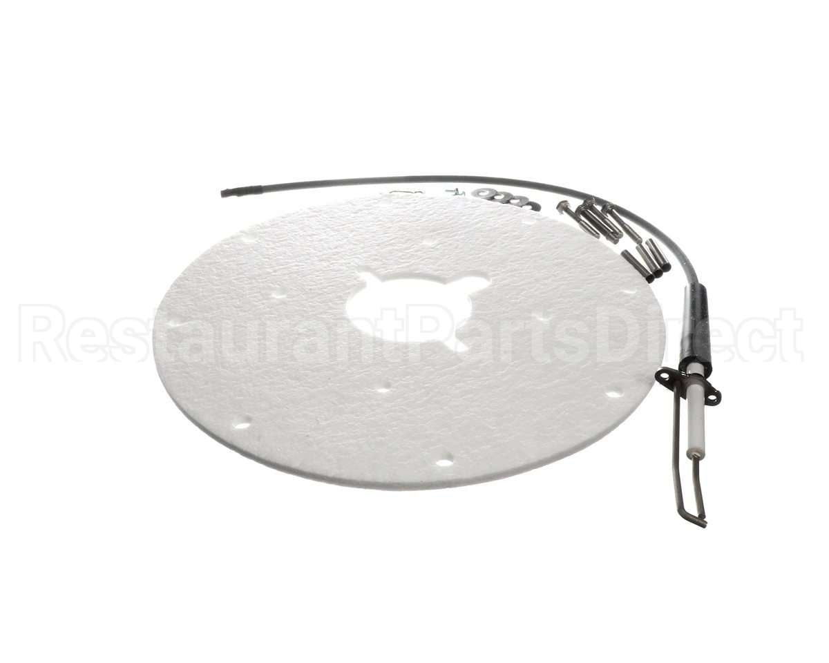 100271889 Ao Smith Water Heater K,Spark Igniter Assy(Angled)