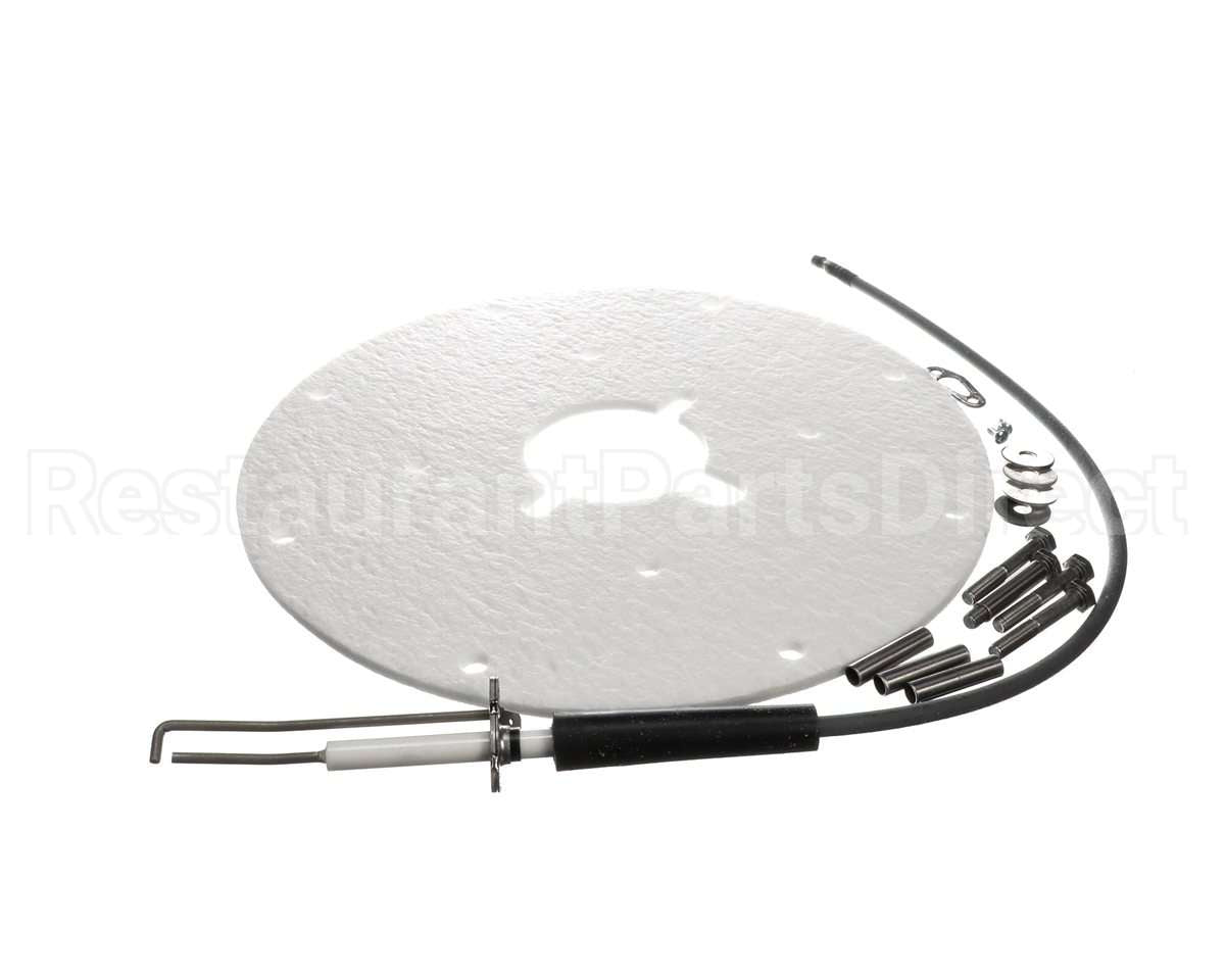 100271889 Ao Smith Water Heater K,Spark Igniter Assy(Angled)