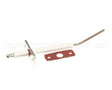 100279407 Lochinvar K,Sensor,Flame,Rear,W/Gasket, Fb 751-200