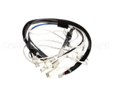 1004F-2054 Rinnai Motor Lead Assy B (See Notes) 263