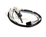 1004F-2054 Rinnai Motor Lead Assy B (See Notes) 263